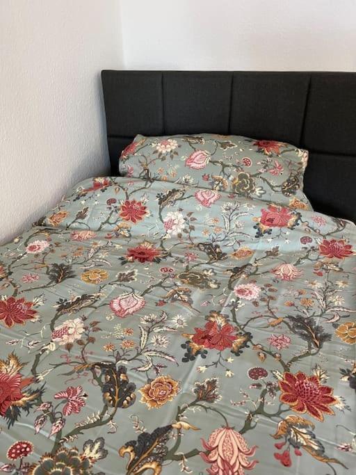 City Appartement Direkt Am Schloss! Karlsruhe Bagian luar foto