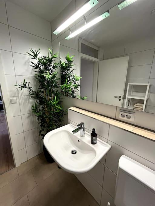 City Appartement Direkt Am Schloss! Karlsruhe Bagian luar foto